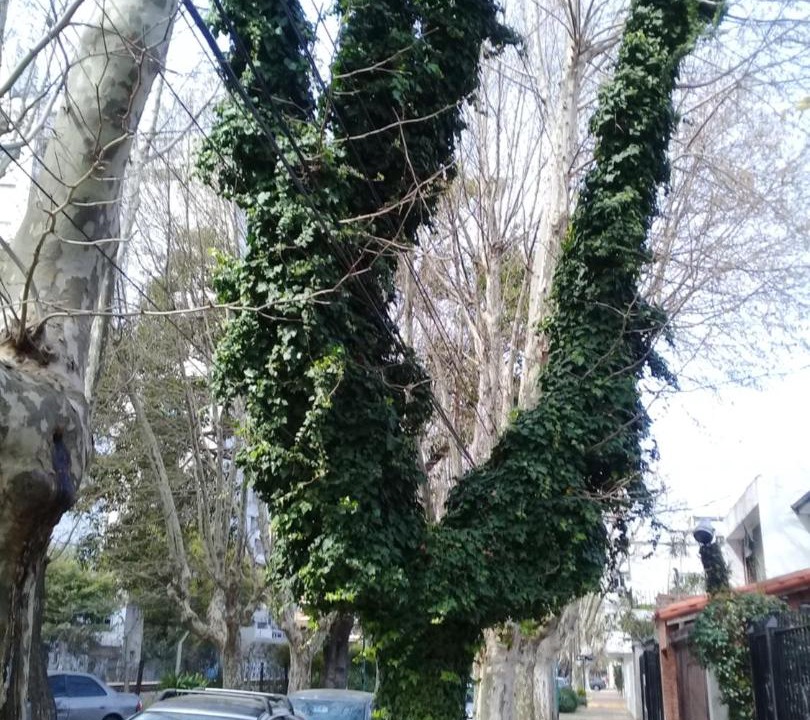 Photo of Others in Vicente Lopez