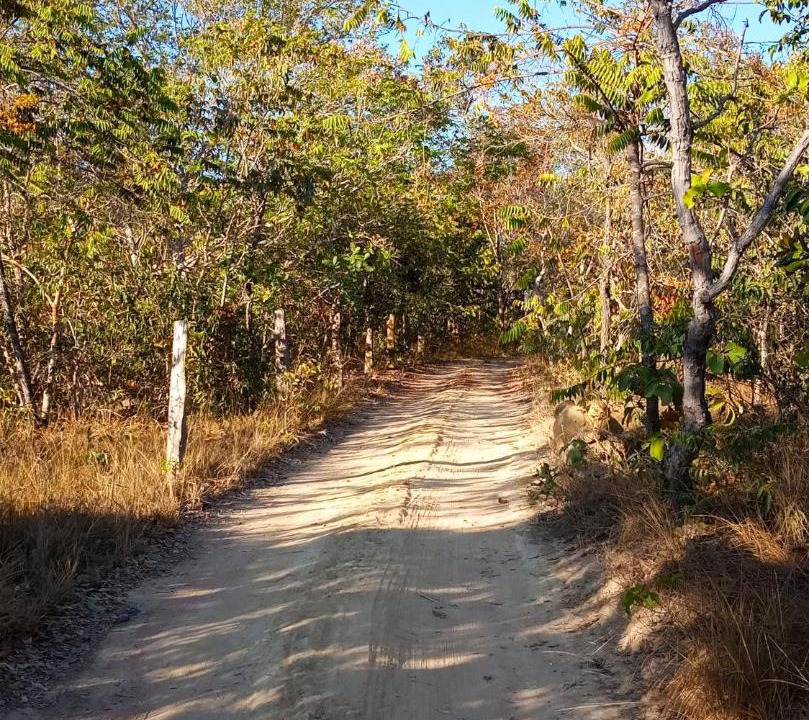 Photo of Outdoor in Cavalcante