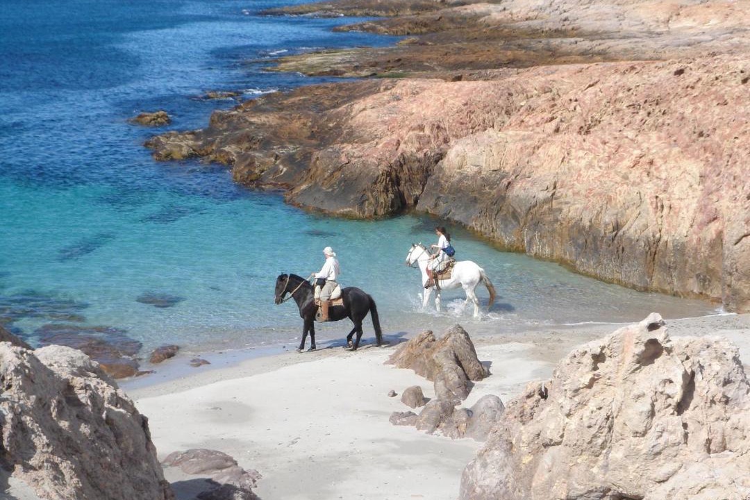 Photo of Others in Bahia Bustamante