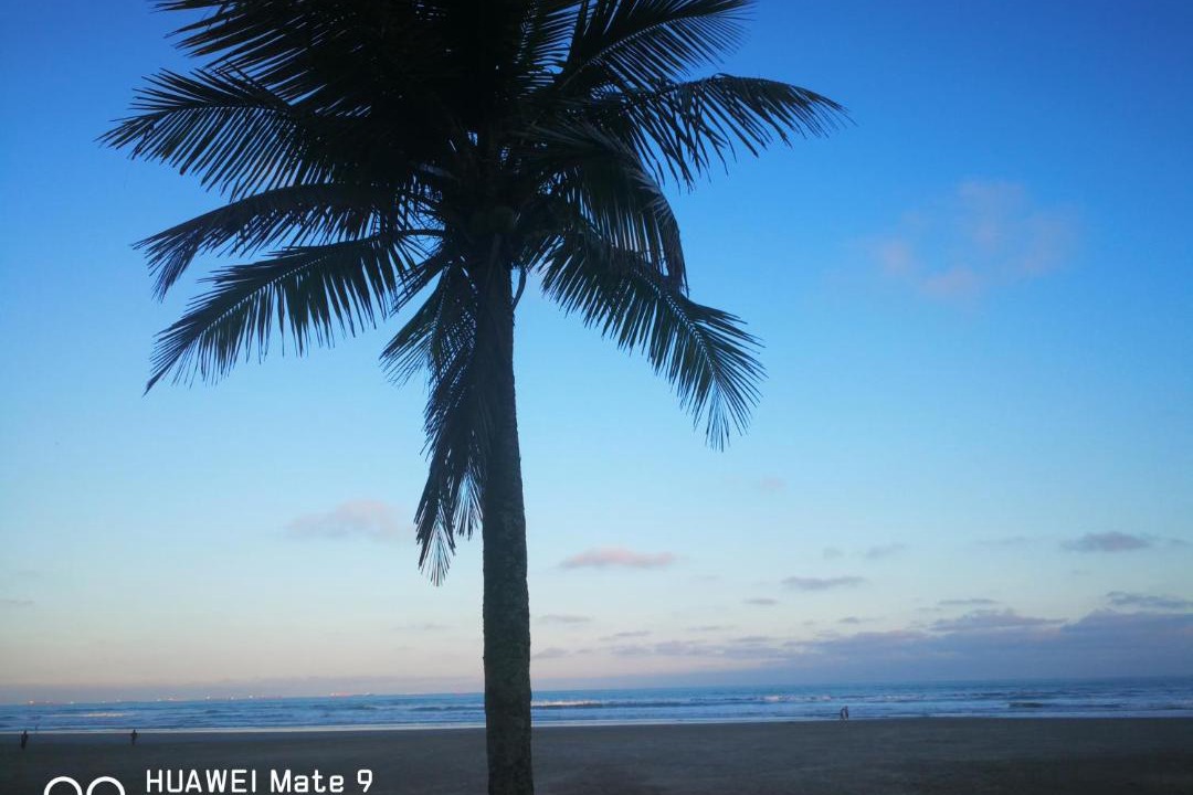 Photo of Outdoor in Aviacao