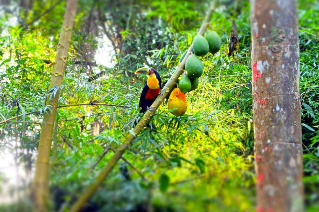 Photo of Others in El Soberbio