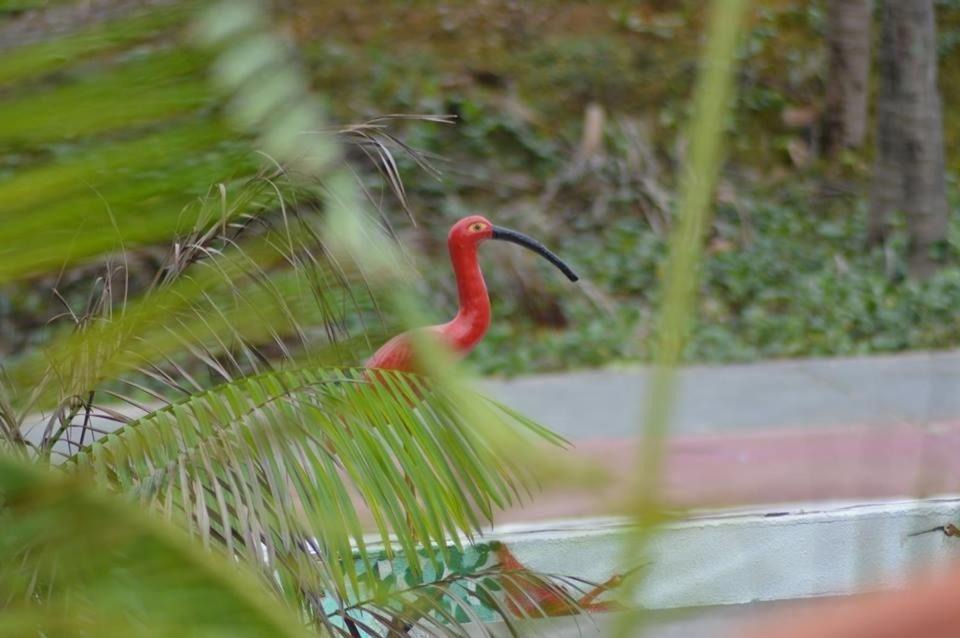 Photo of Others in Sao Luis