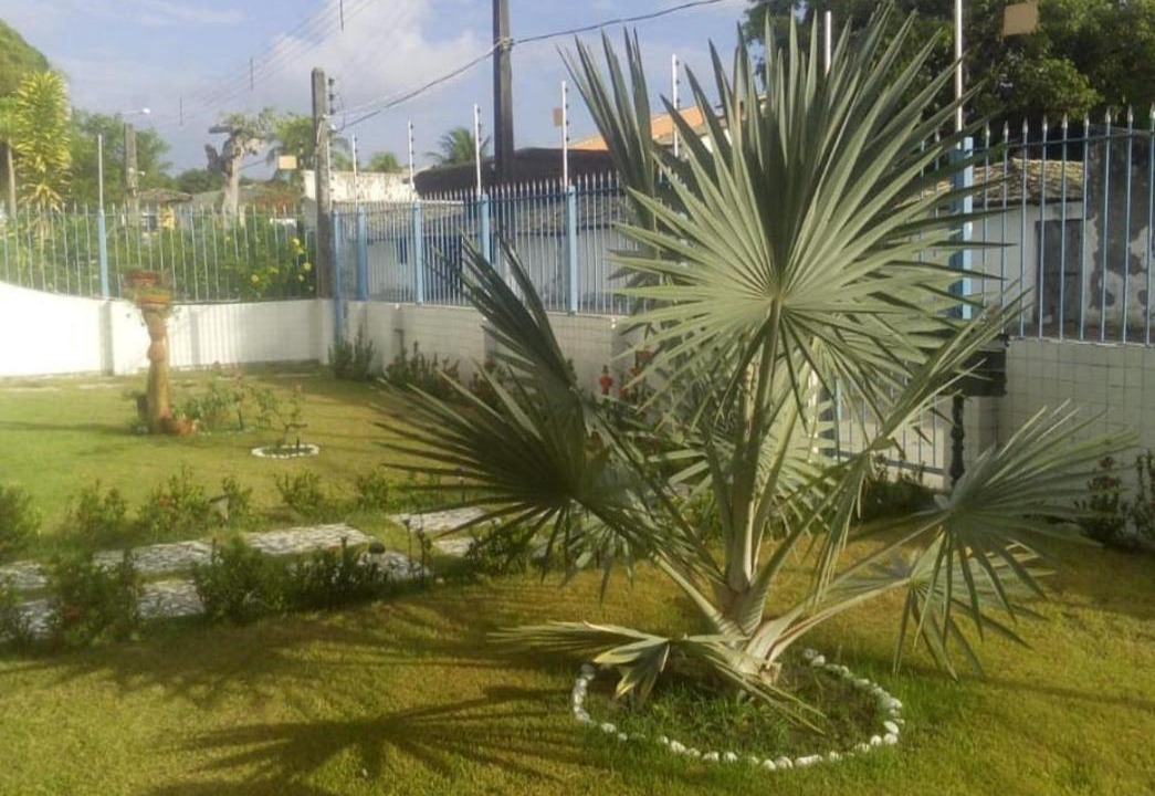 Photo of Others in Itaparica