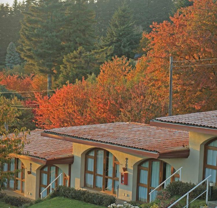 Photo of Others in San Carlos de Bariloche