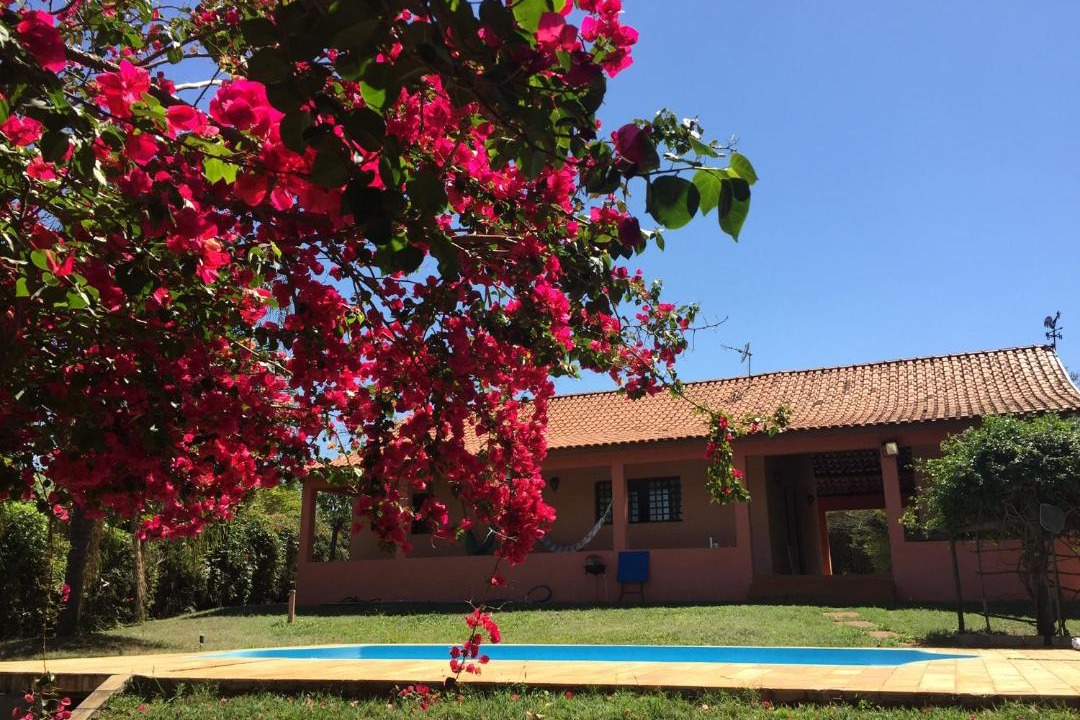 Photo of Others in Campos Eliseos