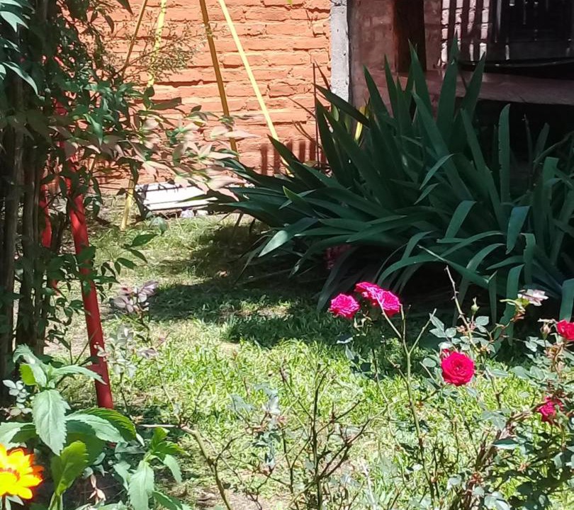 Photo of Others in San Miguel del Monte