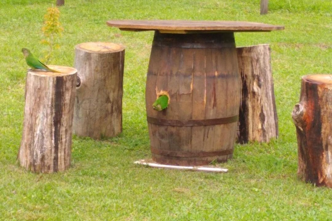 Photo of Others in Urubici