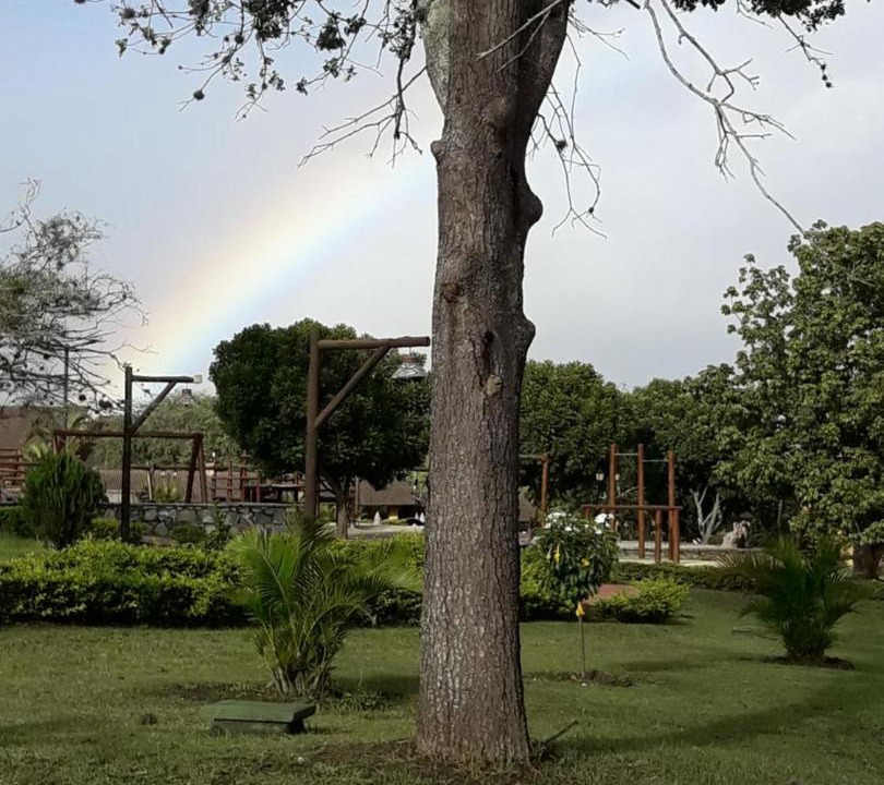 Photo of Outdoor in Novo Gravata