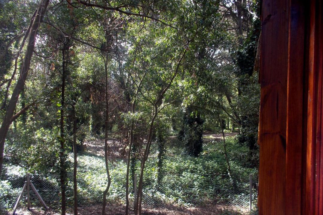 Photo of Others in Bosque Peralta Ramos