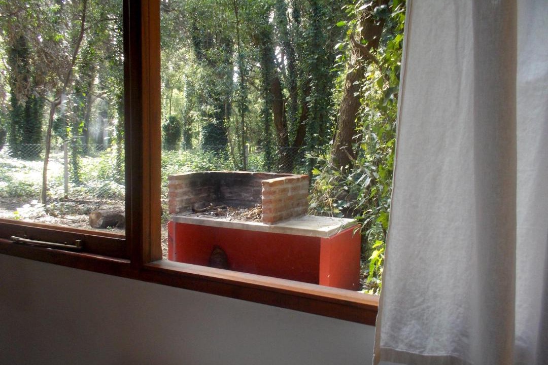 Photo of Others in Bosque Peralta Ramos