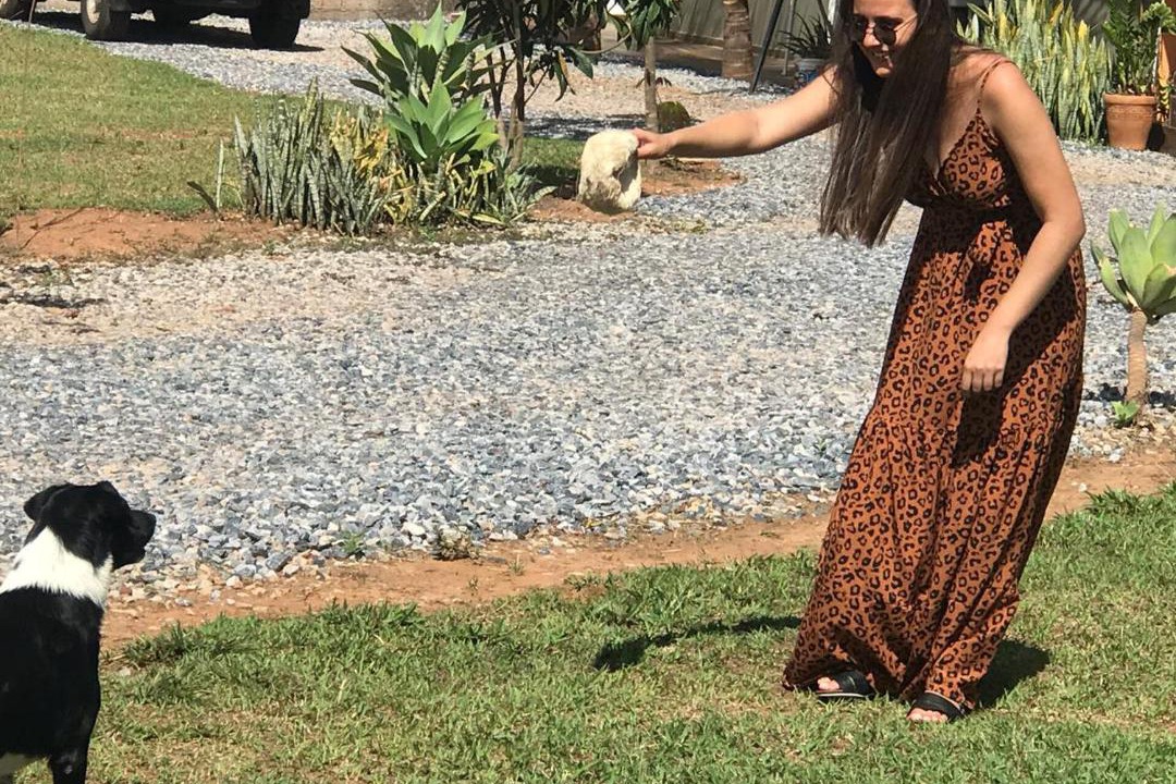 Photo of Others in Brasilia