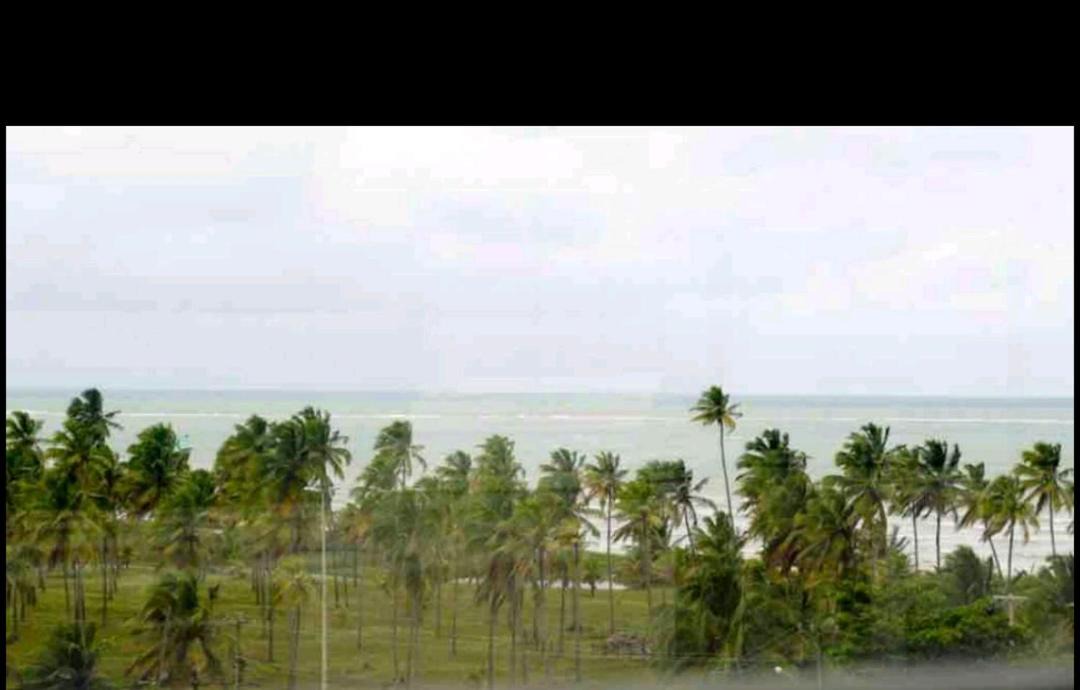 Photo of Others in Intermares