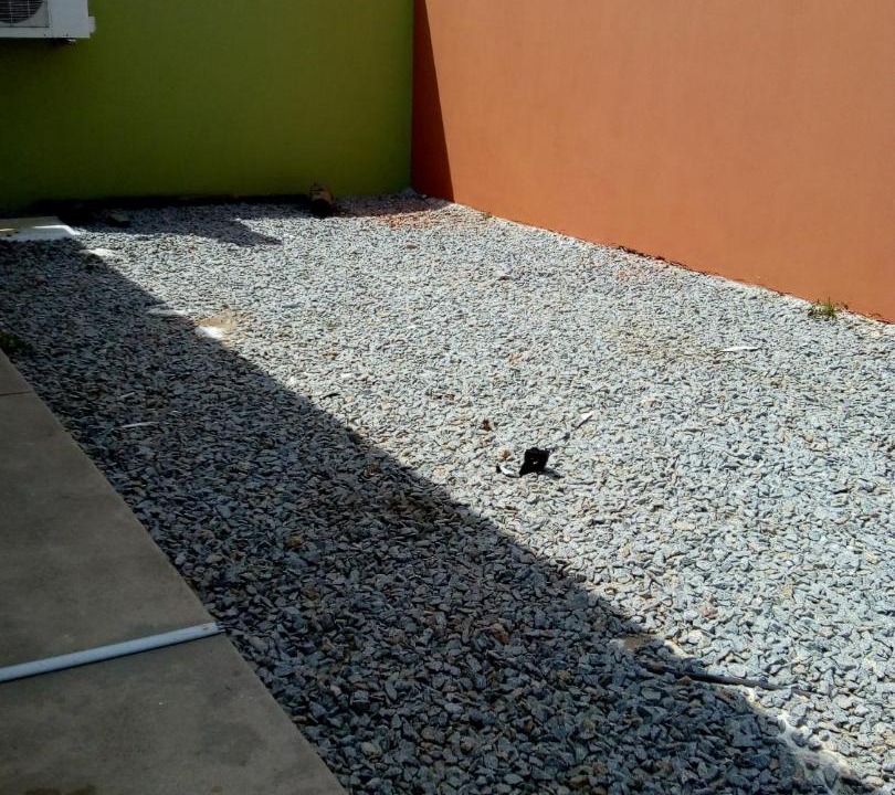 Photo of Others in Balcarce