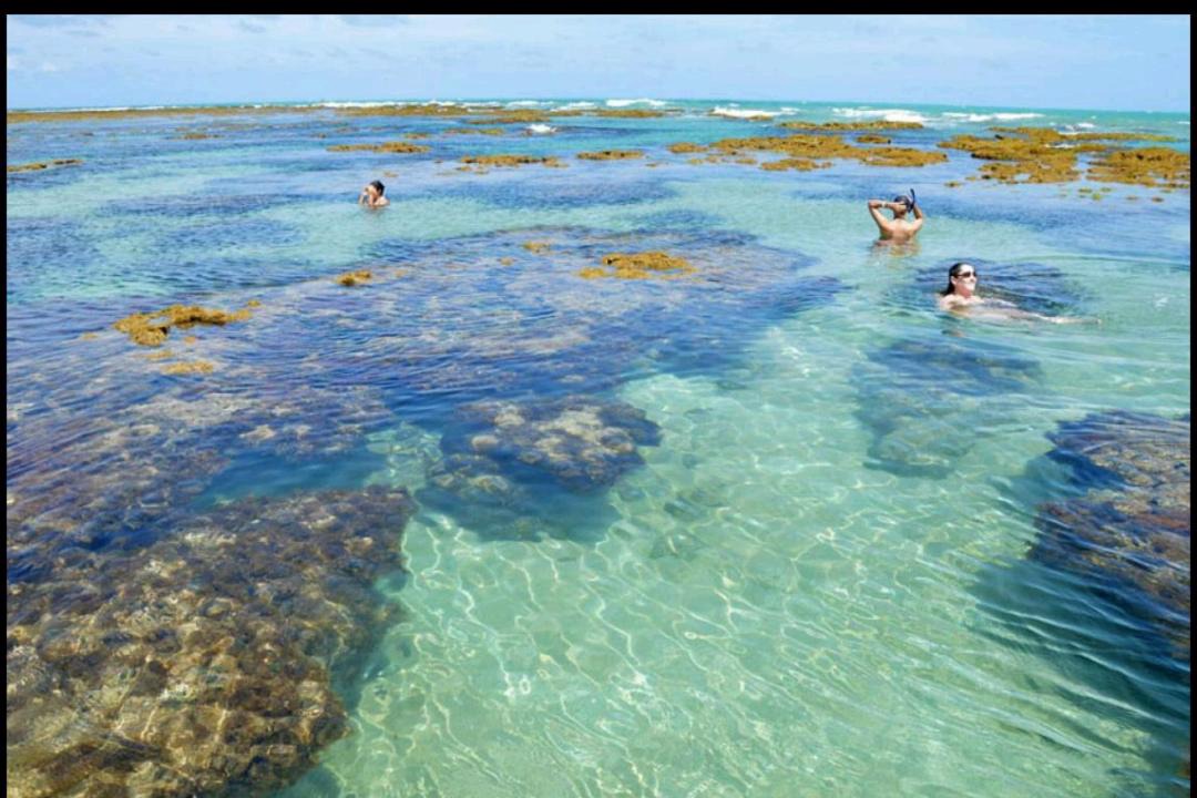 Photo of Others in Intermares