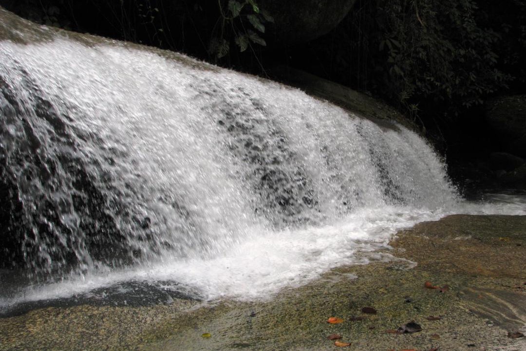 Photo of Others in Felix
