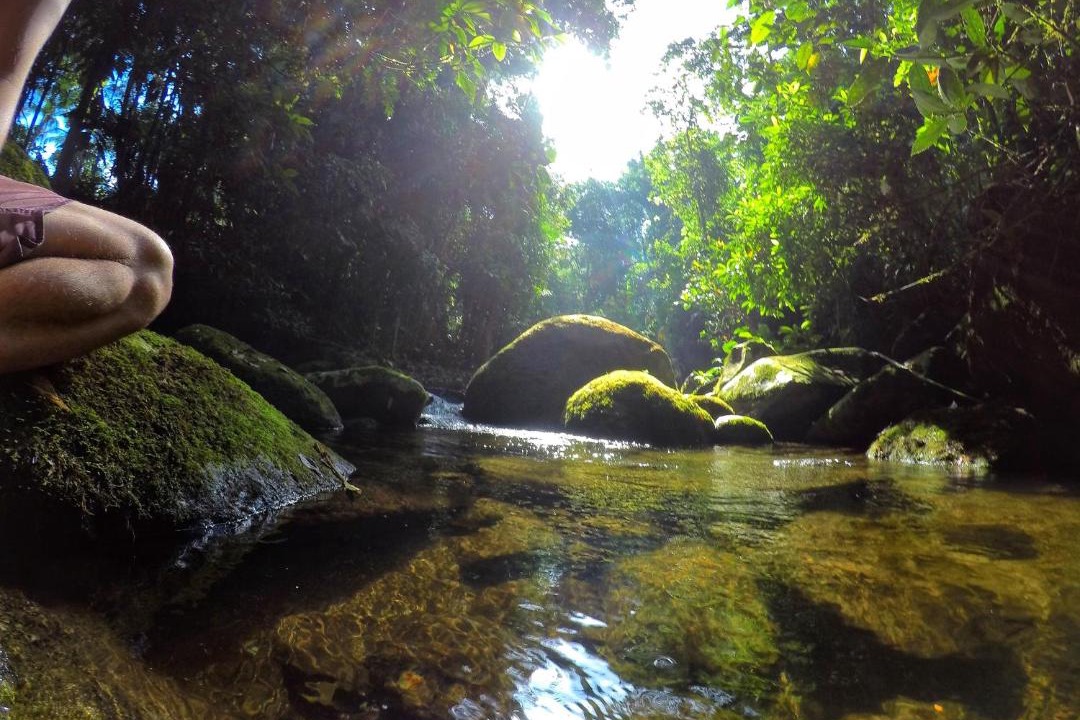 Photo of Others in Picinguaba