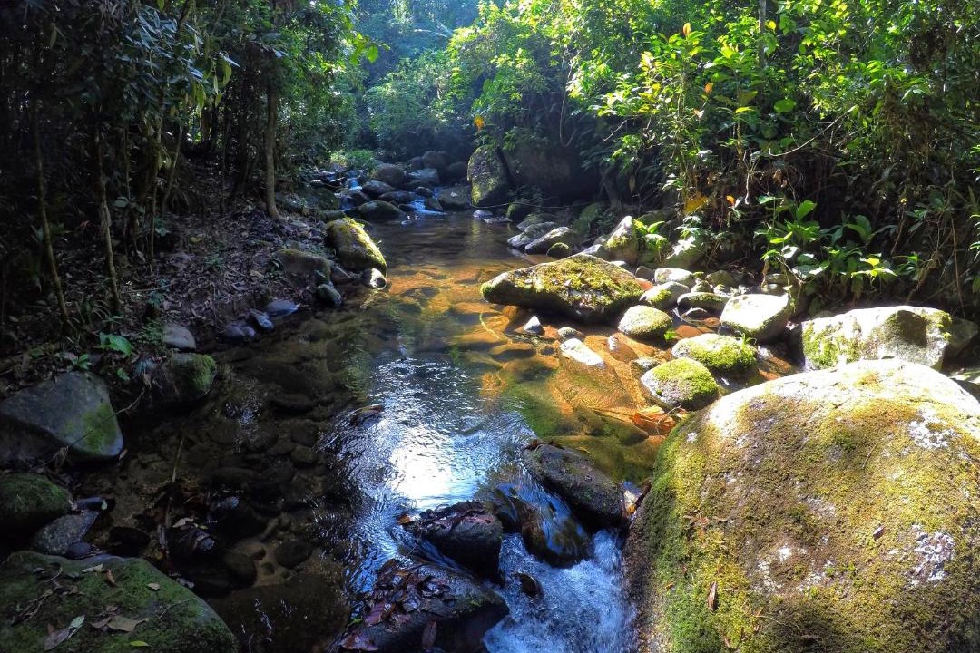 Photo of Outdoor in Picinguaba