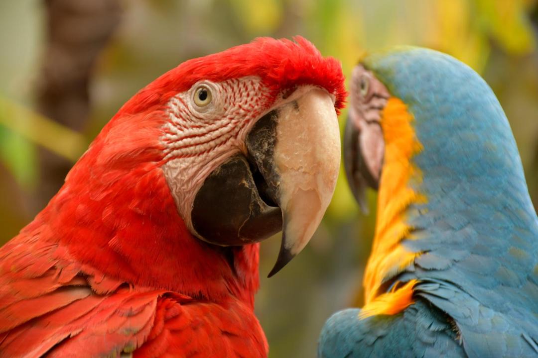 Photo of Others in Barra Grande