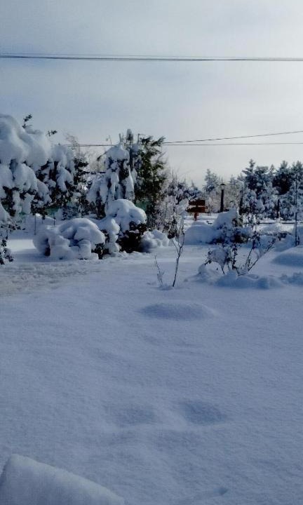 Photo of Others in Dina Huapi