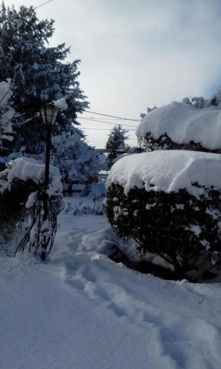 Photo of Others in Dina Huapi
