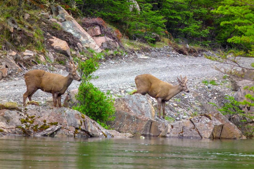 Photo of Others in El Chalten