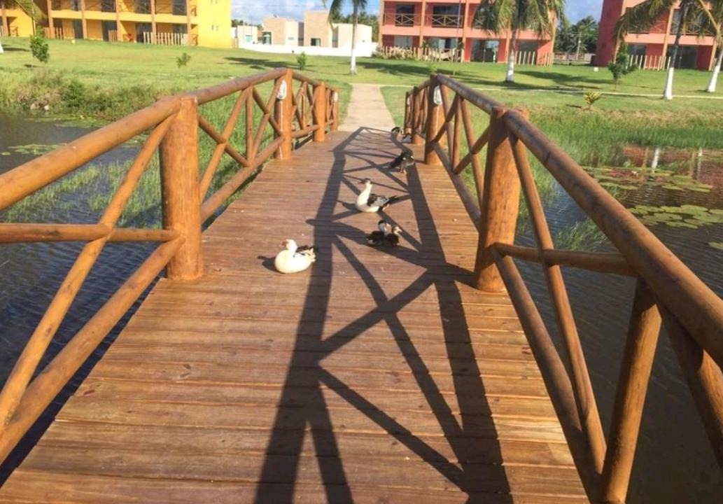 Photo of Others in Estancia