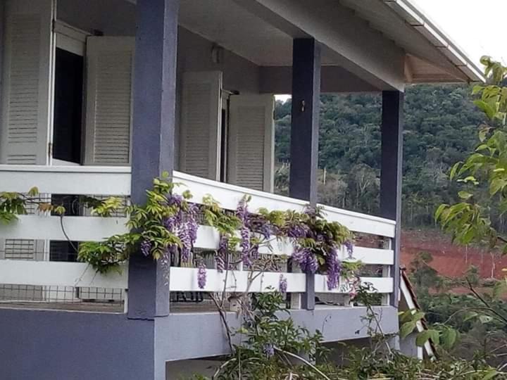 Photo of Buildings in Nova Petropolis