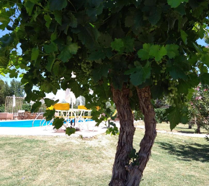 Photo of Others in Villa Union