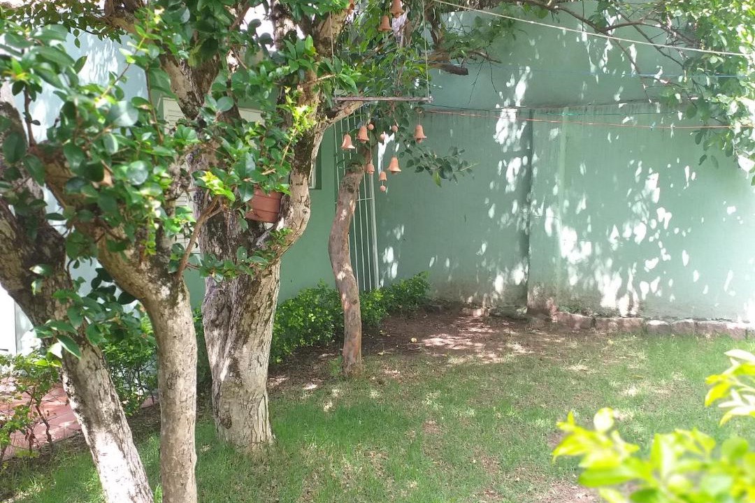 Photo of Others in Menino Deus