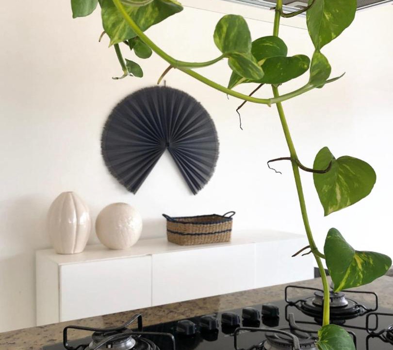 Photo of Kitchen in Barra Velha