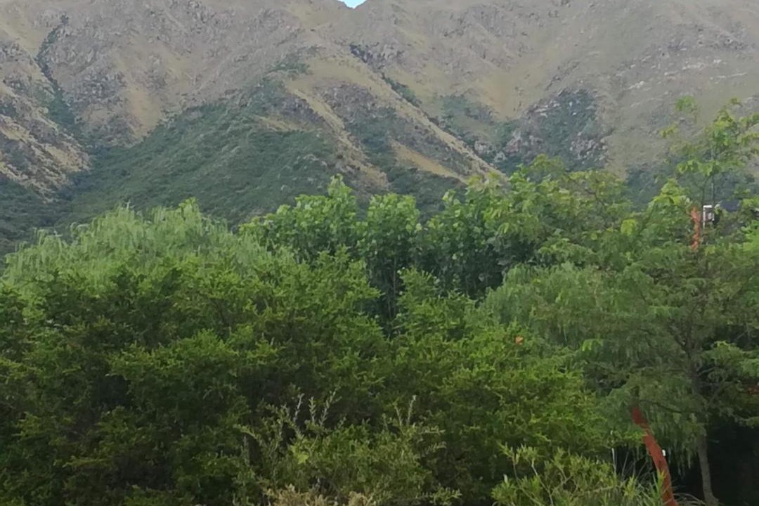 Photo of Others in Cortaderas