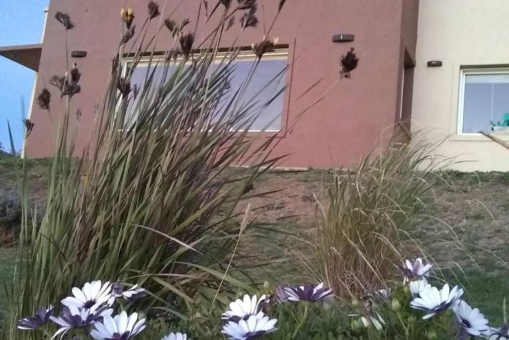 Photo of Others in Villa La Arcadia