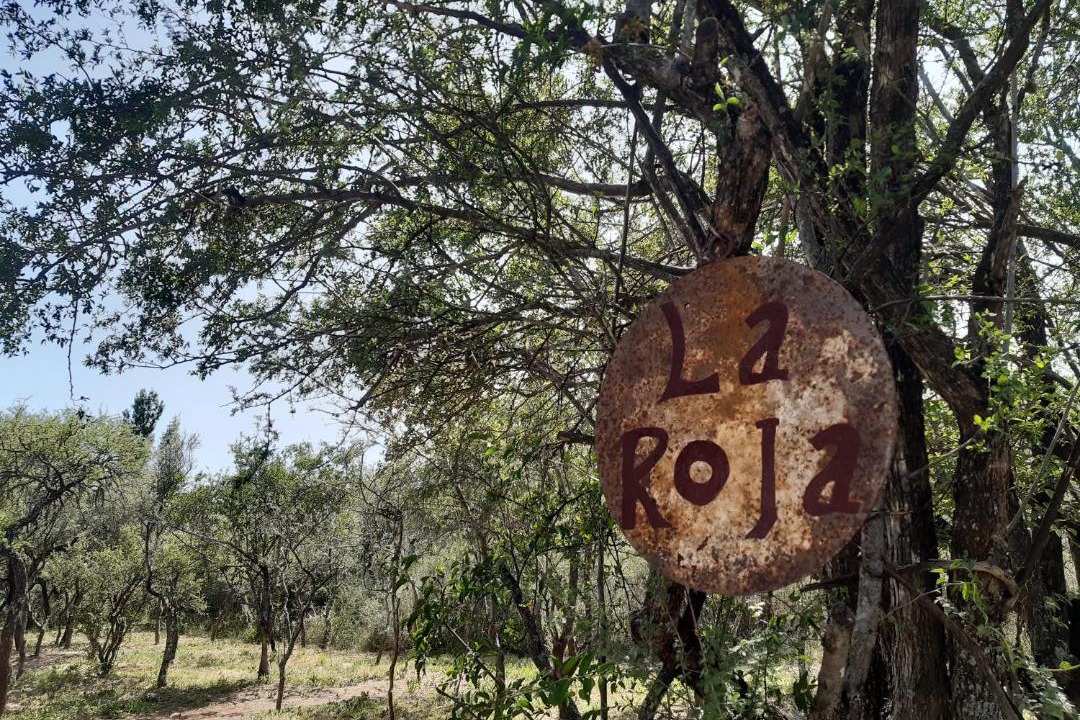 Photo of Others in Las Rosas
