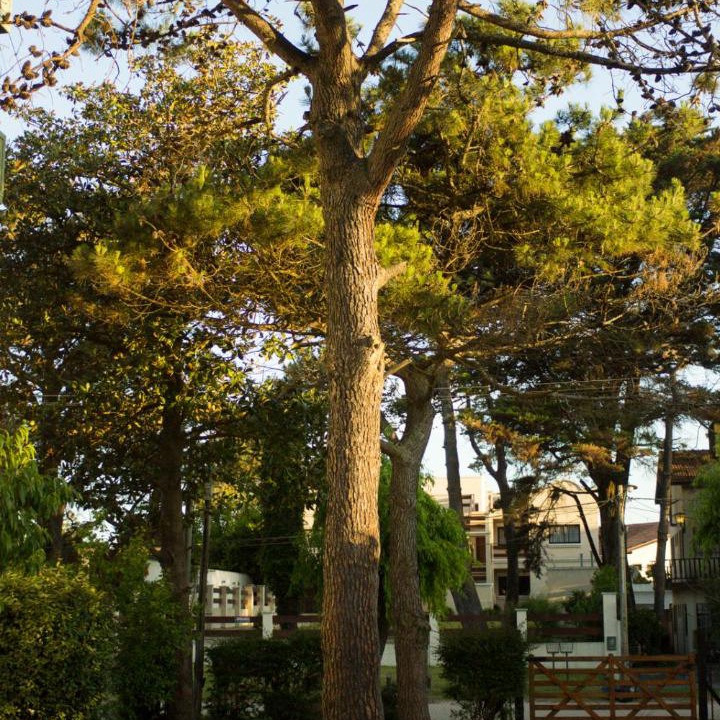 Photo of Others in Villa Gesell