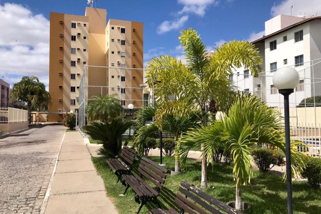Photo of Others in Petrolina