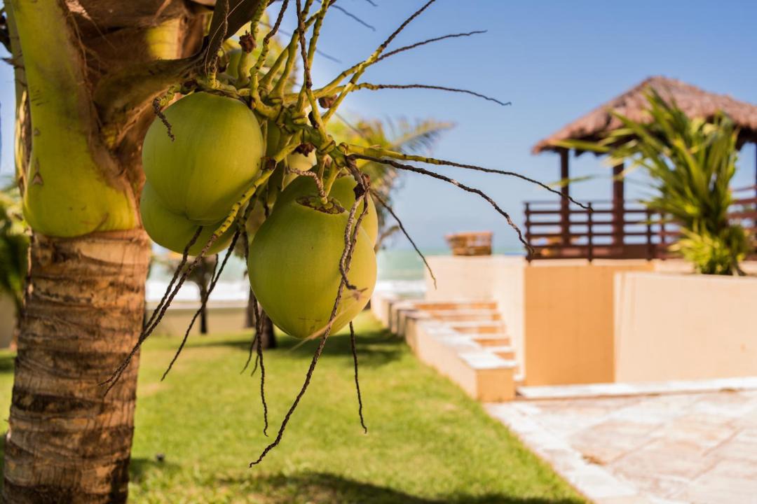 Photo of Others in Barra do Cunhau