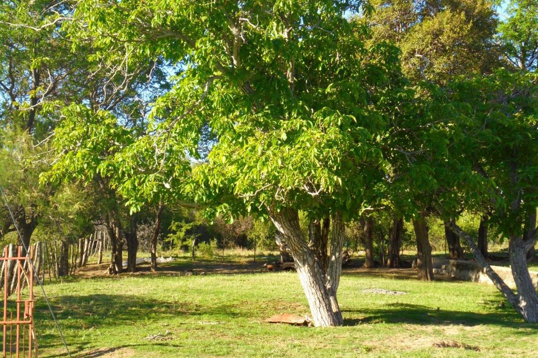 Photo of Others in San Francisco del Monte de Oro