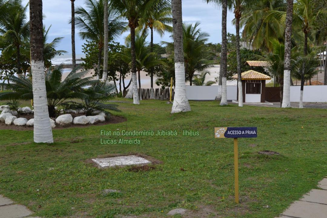Photo of Others in Olivenca