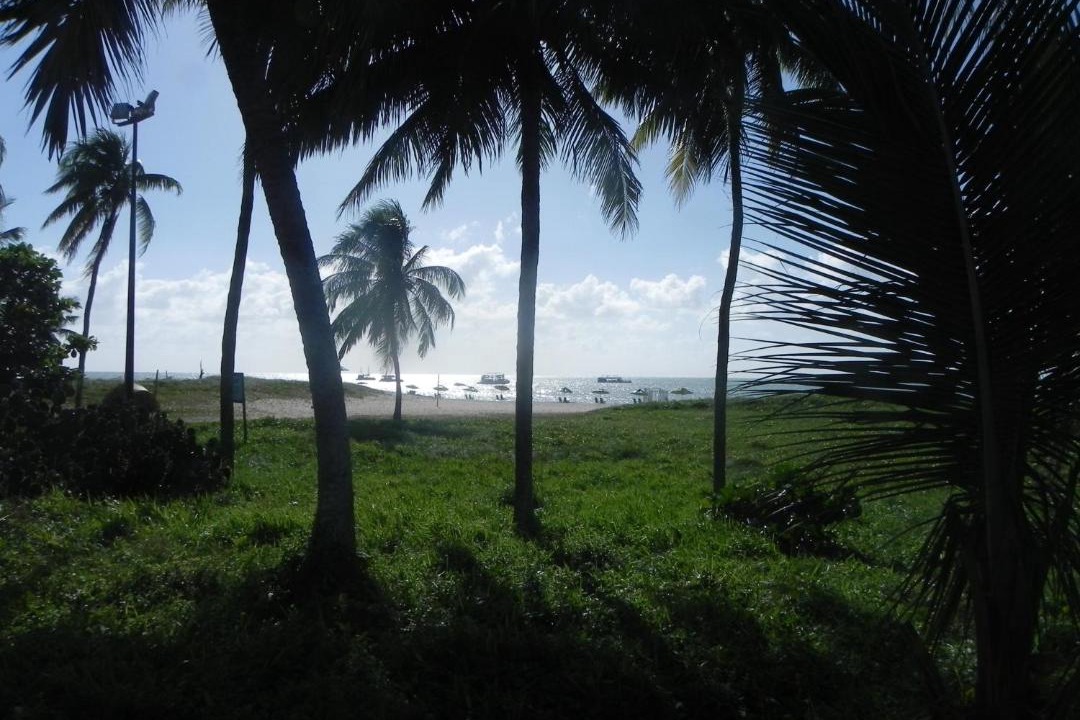 Photo of Others in Tambau