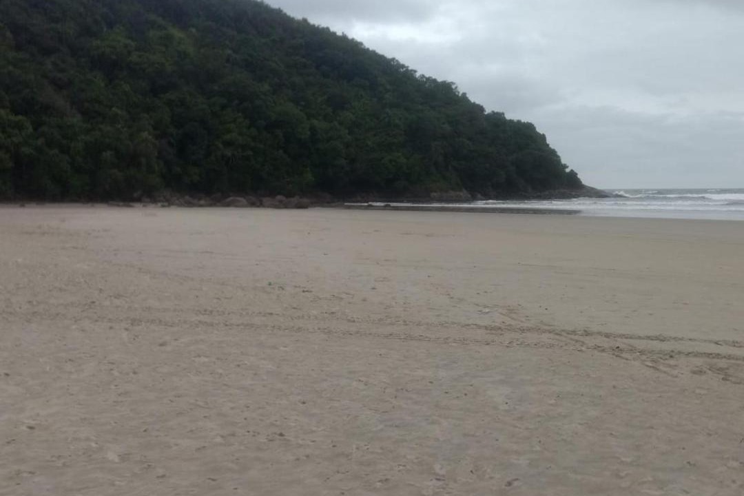 Photo of Outdoor in Sao Lourenco