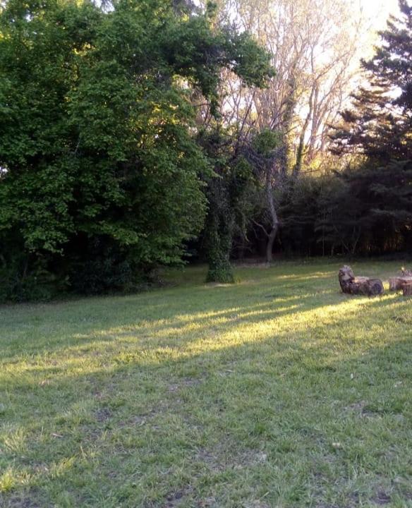 Photo of Others in Tandil