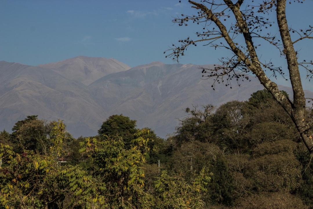 Photo of Others in San Salvador de Jujuy