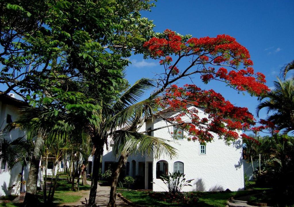 Photo of Others in Ponta das Canas