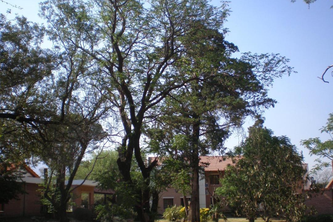 Photo of Others in Merlo
