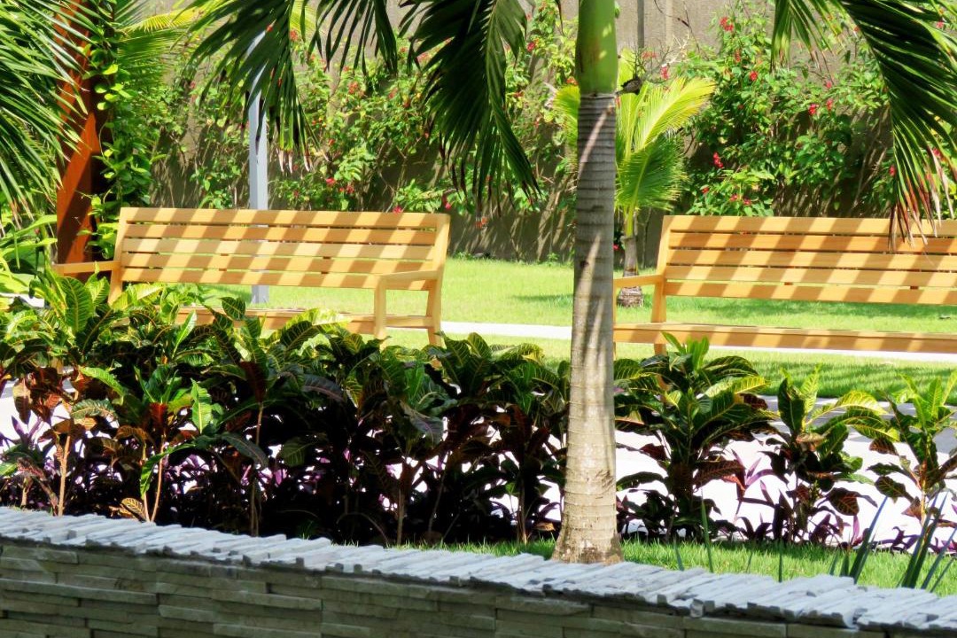 Photo of Others in Porto de Galinhas