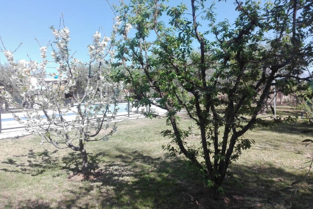 Photo of Outdoor in Maipu