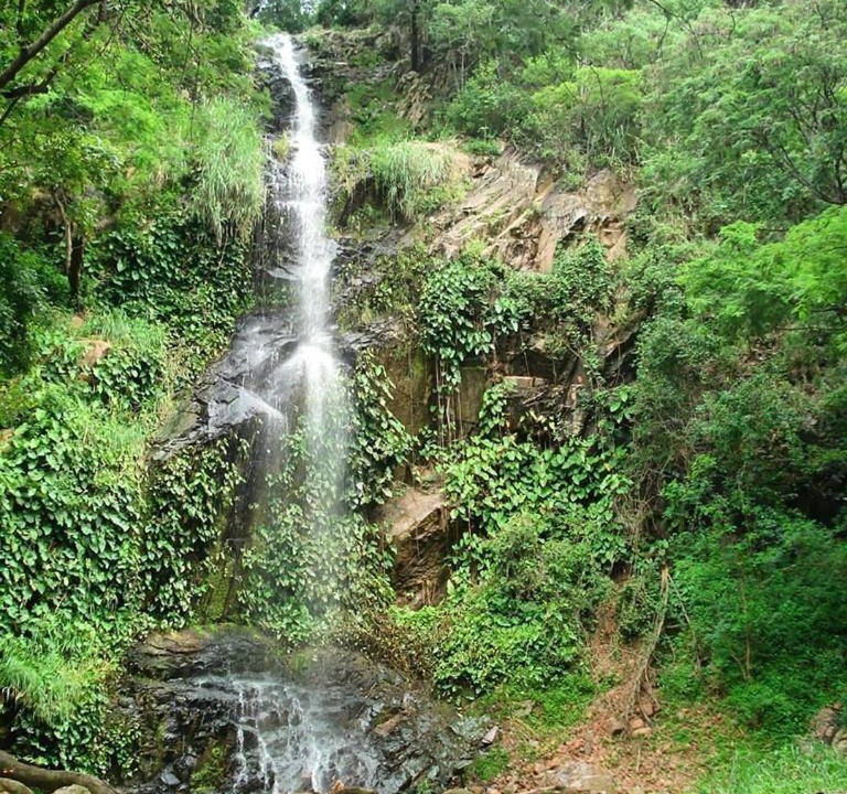 Photo of Others in Portalegre