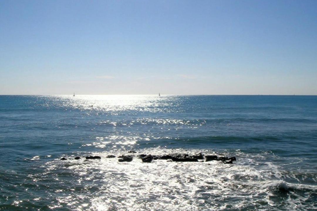 Photo of Others in Punta Mogotes