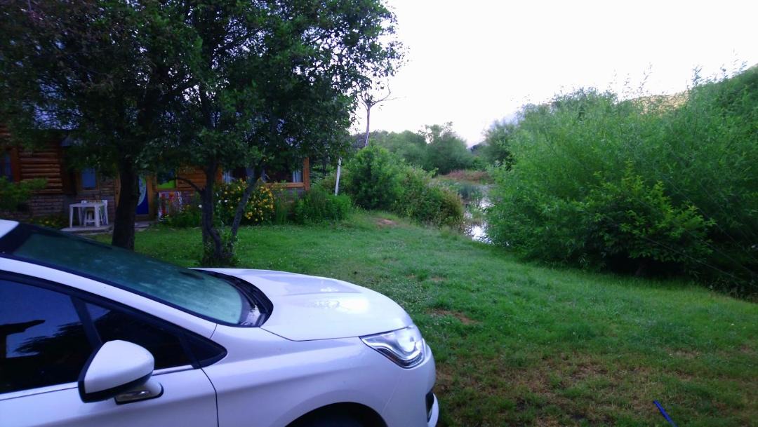 Photo of Others in Lago Puelo