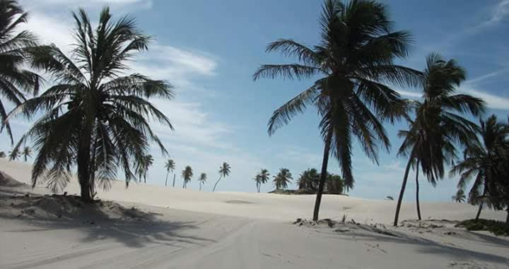 Photo of Others in Mangue Seco